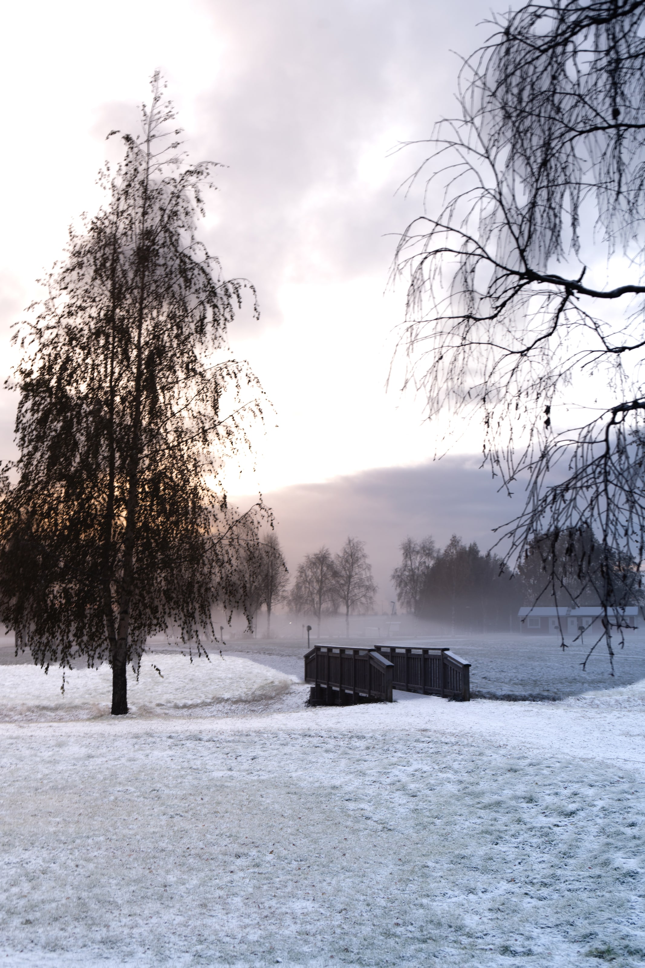 Bare birches trail their branches over a field under a thin first snow, with a small dark timber footbridge crossing a stream mid-frame and mist hanging in the trees beyond.