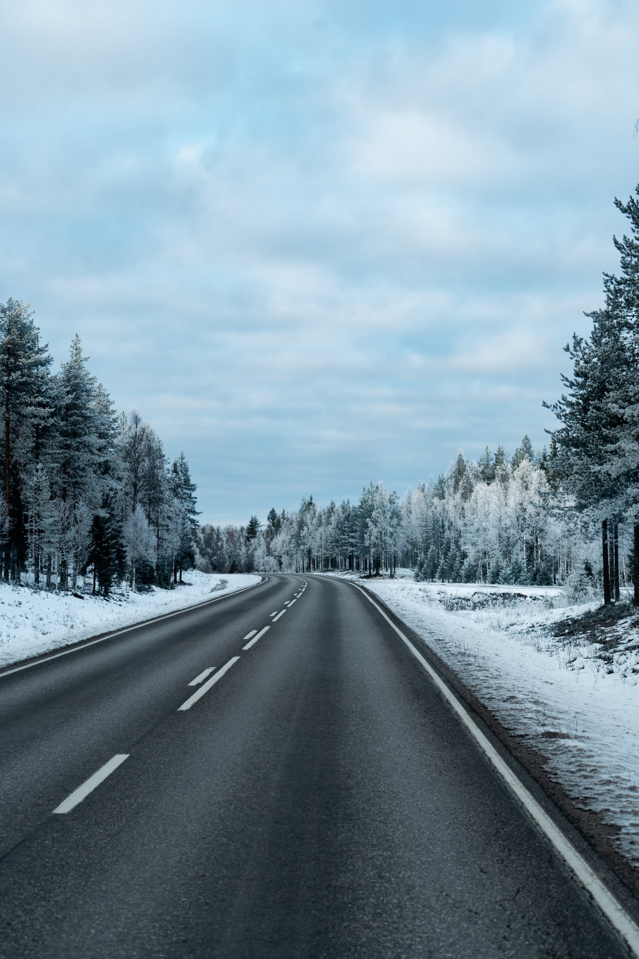 An empty two-lane road curves away between snow banks, flanked by frost-covered pines and birches under a pale blue winter sky.